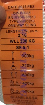 ONE-WAY-WEBBING-SLING-DIN60005-LABEL